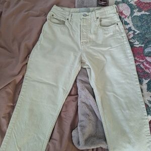 Everlane 90s Cheeky Jean Crop